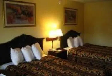 Tampa Inn Near Busch Gardens